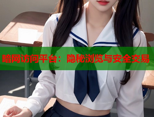 暗网访问平台：隐秘浏览与安全交易