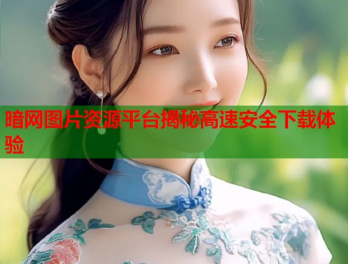 暗网图片资源平台揭秘高速安全下载体验