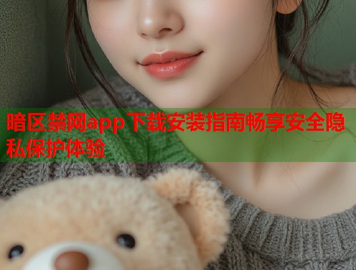 暗区禁网app下载安装指南畅享安全隐私保护体验