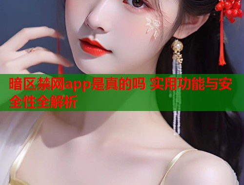 暗区禁网app是真的吗 实用功能与安全性全解析