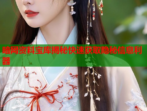 暗网资料宝库揭秘快速获取隐秘信息利器