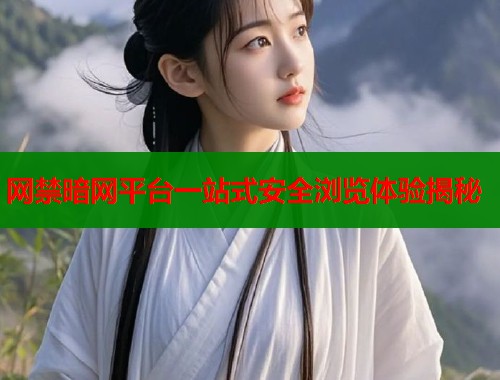 网禁暗网平台一站式安全浏览体验揭秘