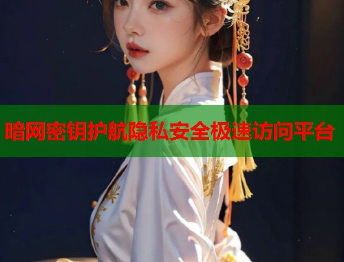 暗网密钥护航隐私安全极速访问平台