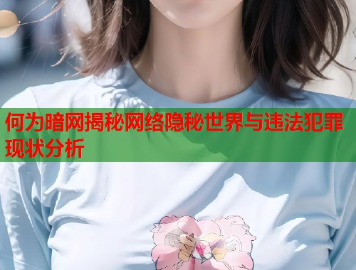 何为暗网揭秘网络隐秘世界与违法犯罪现状分析