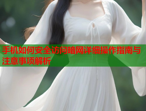 手机如何安全访问暗网详细操作指南与注意事项解析