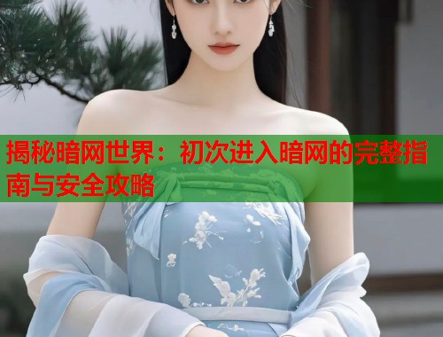 揭秘暗网世界：初次进入暗网的完整指南与安全攻略