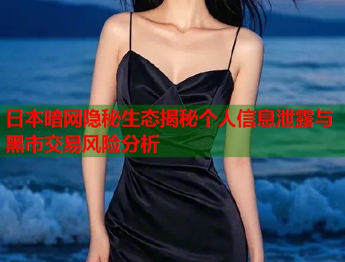 日本暗网隐秘生态揭秘个人信息泄露与黑市交易风险分析