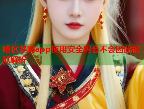 暗区禁网app使用安全吗会不会因此被抓解析