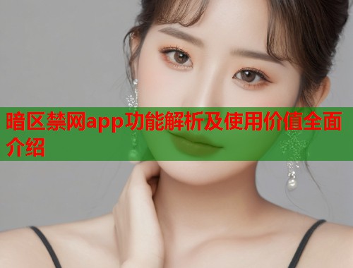 暗区禁网app功能解析及使用价值全面介绍