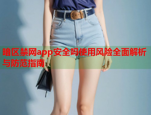 暗区禁网app安全吗使用风险全面解析与防范指南