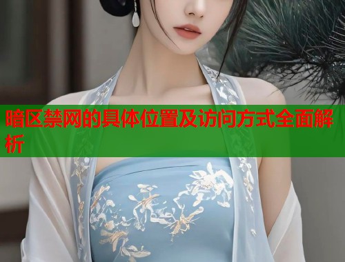 暗区禁网的具体位置及访问方式全面解析