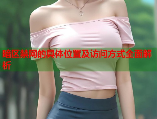 暗区禁网的具体位置及访问方式全面解析