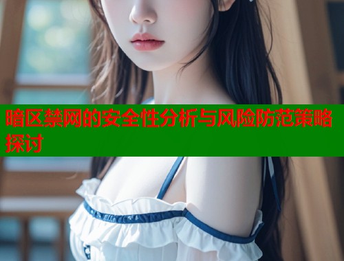 暗区禁网的安全性分析与风险防范策略探讨