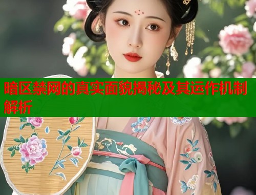 暗区禁网的真实面貌揭秘及其运作机制解析