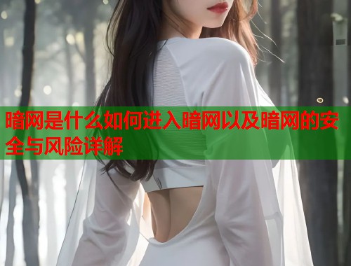 暗网是什么如何进入暗网以及暗网的安全与风险详解