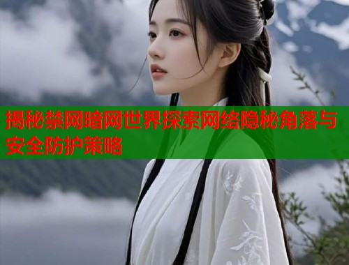 揭秘禁网暗网世界探索网络隐秘角落与安全防护策略