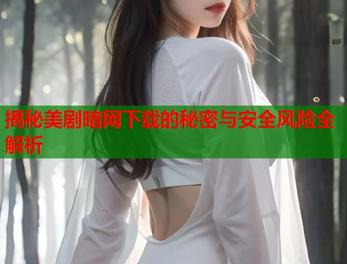 揭秘美剧暗网下载的秘密与安全风险全解析