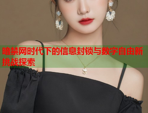 暗禁网时代下的信息封锁与数字自由新挑战探索