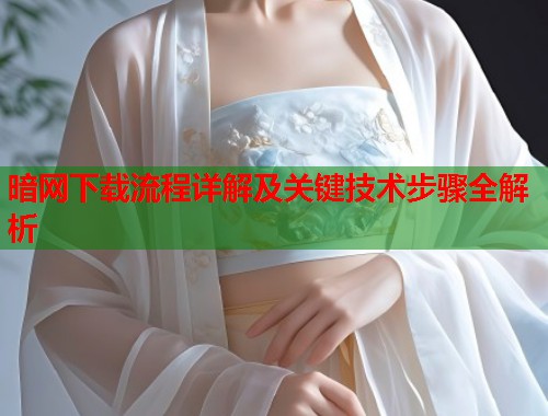 暗网下载流程详解及关键技术步骤全解析