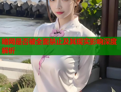 暗网是否被全面禁止及其现实影响深度解析
