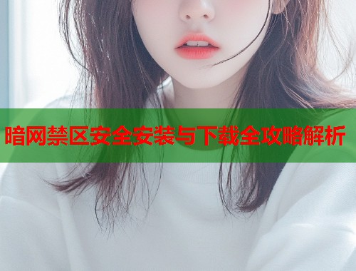 暗网禁区安全安装与下载全攻略解析