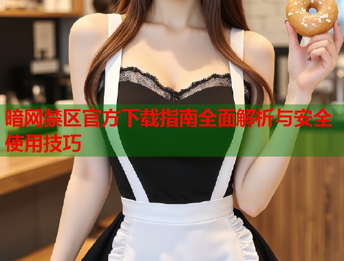 暗网禁区官方下载指南全面解析与安全使用技巧