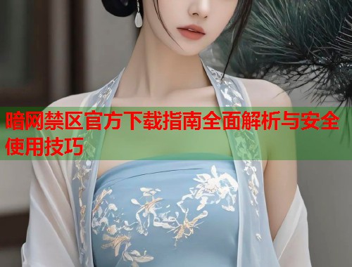 暗网禁区官方下载指南全面解析与安全使用技巧