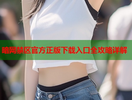 暗网禁区官方正版下载入口全攻略详解