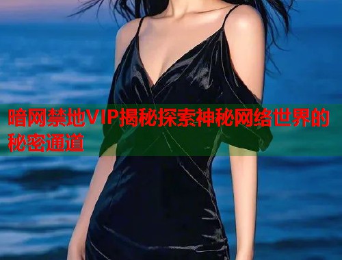暗网禁地VIP揭秘探索神秘网络世界的秘密通道