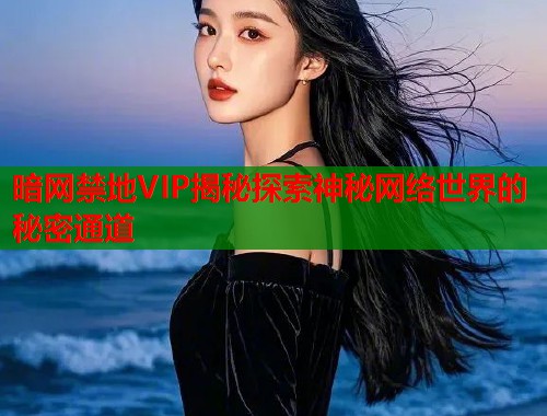 暗网禁地VIP揭秘探索神秘网络世界的秘密通道