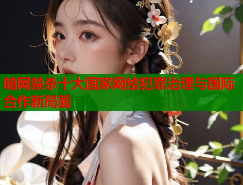暗网禁杀十大国家网络犯罪治理与国际合作新局面