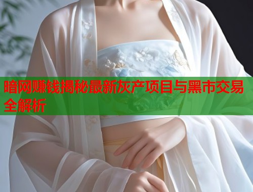 暗网赚钱揭秘最新灰产项目与黑市交易全解析