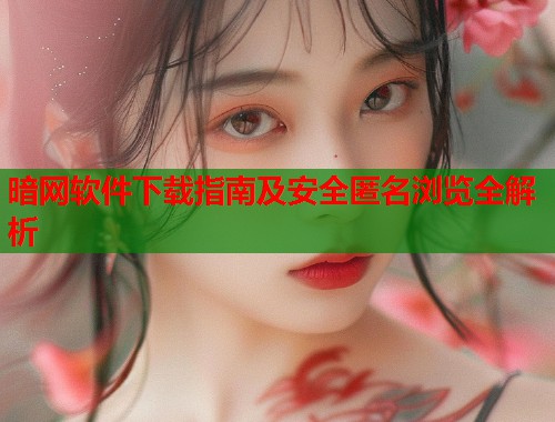 暗网软件下载指南及安全匿名浏览全解析