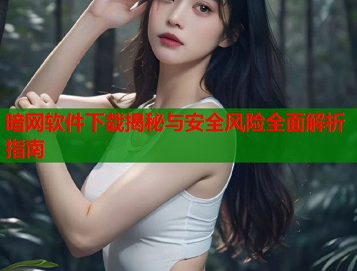 暗网软件下载揭秘与安全风险全面解析指南