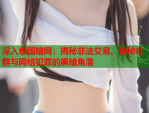 深入泰国暗网：揭秘非法交易、隐秘社群与网络犯罪的黑暗角落