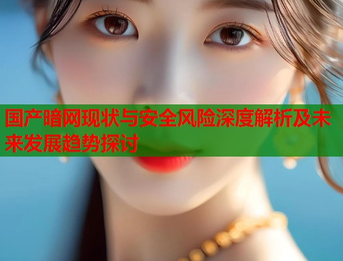 国产暗网现状与安全风险深度解析及未来发展趋势探讨