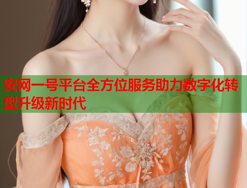 安网一号平台全方位服务助力数字化转型升级新时代
