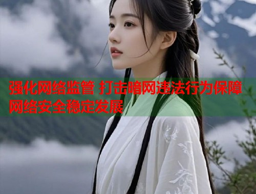 强化网络监管 打击暗网违法行为保障网络安全稳定发展