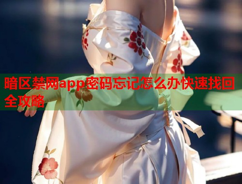 暗区禁网app密码忘记怎么办快速找回全攻略