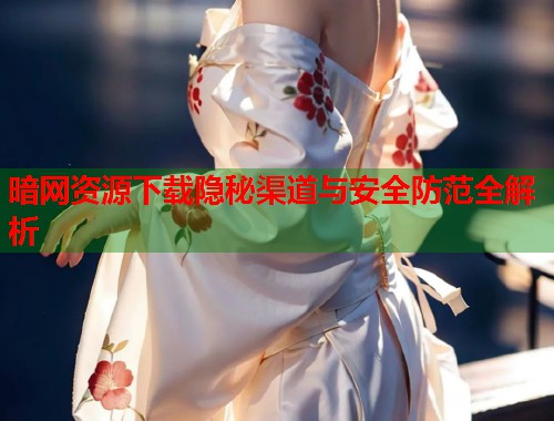 暗网资源下载隐秘渠道与安全防范全解析 暗网资源下载隐秘渠道与安全防范全解析
