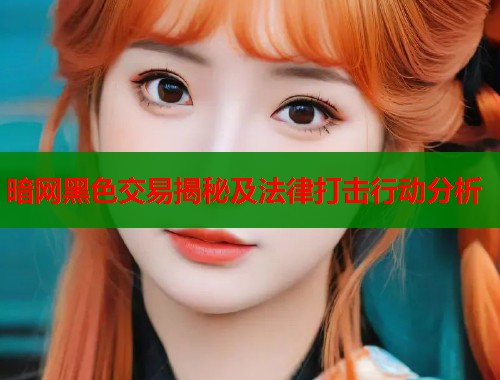 暗网黑色交易揭秘及法律打击行动分析 暗网黑色交易揭秘及法律打击行动分析
