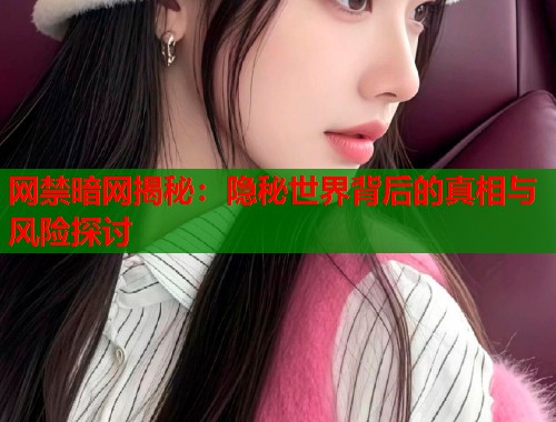 网禁暗网揭秘:隐秘世界背后的真相与风险探讨 网禁暗网揭秘:隐秘世界背后的真相与风险探讨